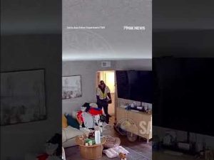 Read more about the article WATCH: Suspect steals $6k, designer items from home #shorts #us #news #foxnews #theft