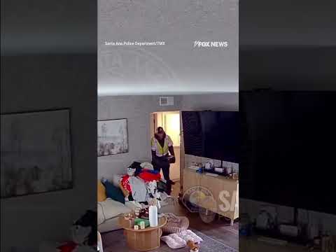 Read more about the article WATCH: Suspect steals $6k, designer items from home #shorts #us #news #foxnews #theft