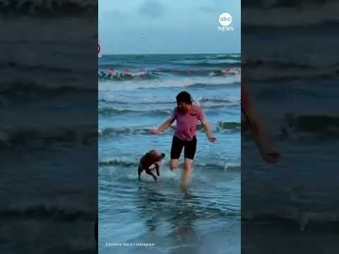 Read more about the article Astronaut’s dog erupts with joy as mom returns from moon mission