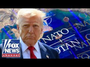 Read more about the article NATO allies are at RISK, not the US: Former Israeli ambassador