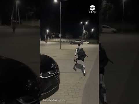 You are currently viewing Humanoid robot chasing wild boars in Poland goes viral