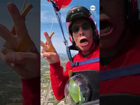 You are currently viewing Parrot explores the ocean in DIY submarine