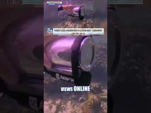 Read more about the article SEE IT: Parrot goes under the sea in DIY submarine #foxnews #news #shorts #animals #diy