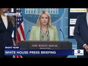 Read more about the article LIVE: White House press briefing