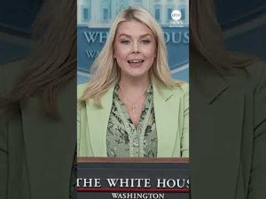 Read more about the article Karoline Leavitt talks Tax Day at White House briefing