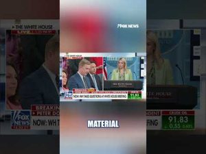 Read more about the article WATCH: Peter Doocy asks Karoline Leavitt about missing American scientists #shorts #news #foxnews