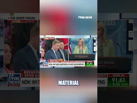 You are currently viewing WATCH: Peter Doocy asks Karoline Leavitt about missing American scientists #shorts #news #foxnews