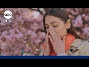 Read more about the article Spring allergies may worsen as warmer weather arrives