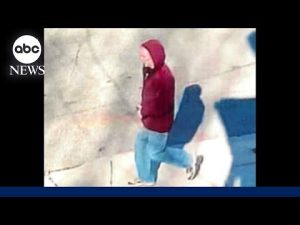 Read more about the article Dozens of homemade pipe bombs found in suspect’s New York home, police say