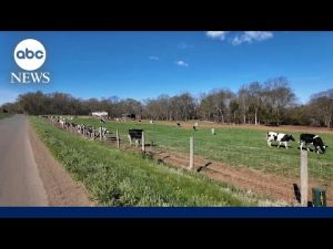 Read more about the article U.S farmers feel the pinch as the war in Iran drags on