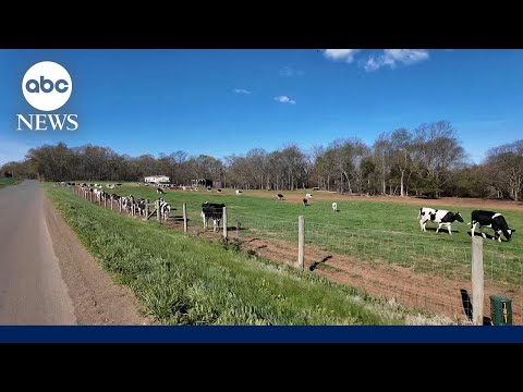 You are currently viewing U.S farmers feel the pinch as the war in Iran drags on