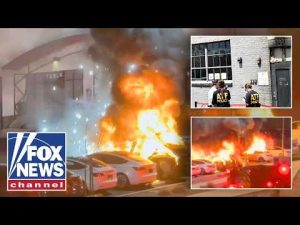 Read more about the article Molotov-slinging suspect allegedly strikes Tesla shop amid wave of corporate ARSON ATTACKS