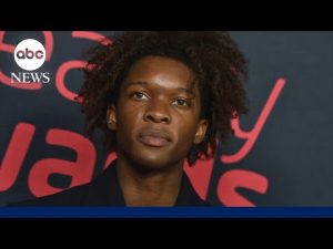 Read more about the article Next steps in the case against singer D4vd after teen found dead