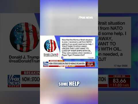 Read more about the article Trump calls NATO ‘USELESS’ #foxnews #news #us #foxnews