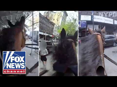 Read more about the article High-speed HORSE chase caught on NYPD bodycam