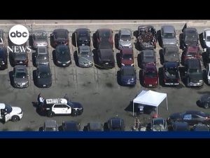 Read more about the article Video shows tense arrest of D4vd in connection to teen girl found dead in his Tesla