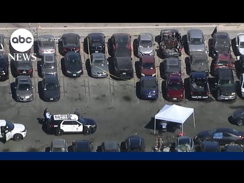 Read more about the article Video shows tense arrest of D4vd in connection to teen girl found dead in his Tesla