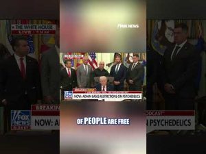 Read more about the article Joe Rogan shares exchange he had with Trump over psychedelic drugs #shorts  #news #foxnews #us