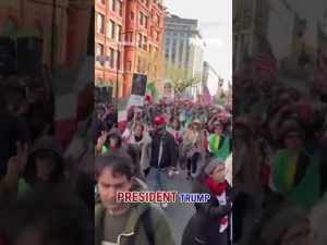 Read more about the article Iranian Americans FLOOD streets in support of Trump #shorts #us #news #iran #us