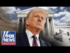 Read more about the article Shannon Bream: This is FASCINATING