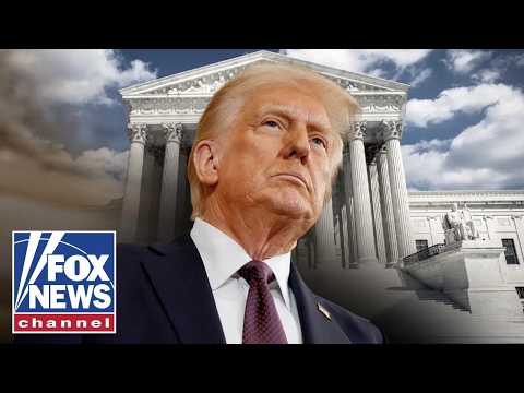 Read more about the article Shannon Bream: This is FASCINATING