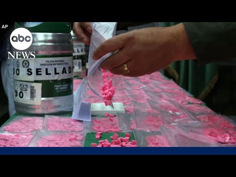 Read more about the article Trump signs executive order to accelerate research of psychedelic-based drugs