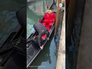Read more about the article Venice gondolier rescues child’s toy from canal