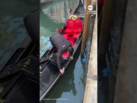 Read more about the article Venice gondolier rescues child’s toy from canal