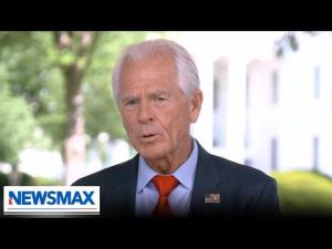 Read more about the article Peter Navarro: We’re ‘cracking down’ on beef cartel