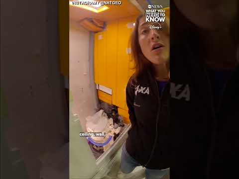 You are currently viewing Artemis II crew hit with minor toilet trouble hours after historic launch