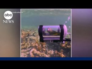 Read more about the article Parrot explores the ocean in DIY submarine