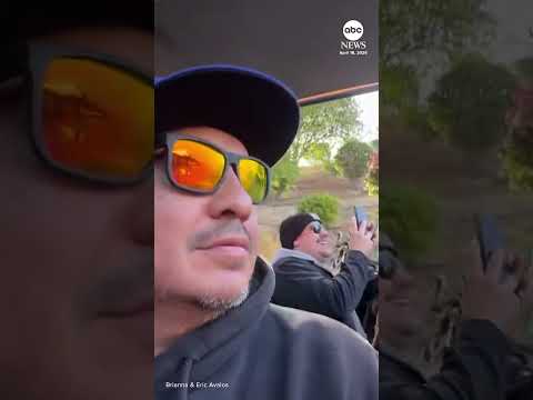 Read more about the article Hot air balloon makes surprise landing in SoCal back yard