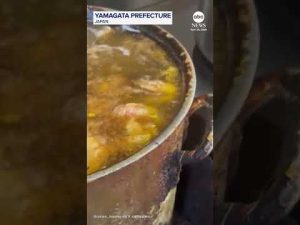 Read more about the article Japan shakes and rattles as earthquake strikes off coast