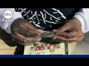 Read more about the article Cannabis legalization debate shifts as federal reclassification looms