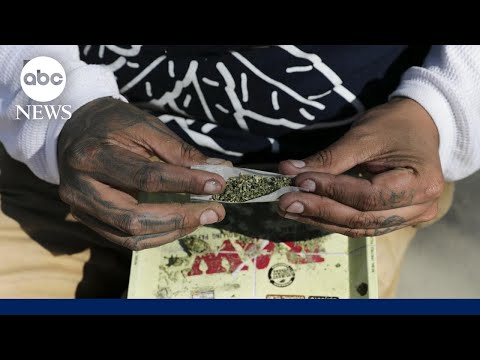 Read more about the article Cannabis legalization debate shifts as federal reclassification looms