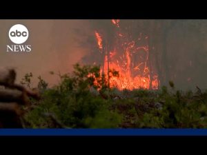 Read more about the article Wildfires sparking in Florida, Georgia