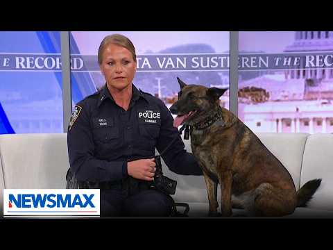 You are currently viewing WATCH: NYPD Detective saves K-9 partner after fentanyl exposure | The Record