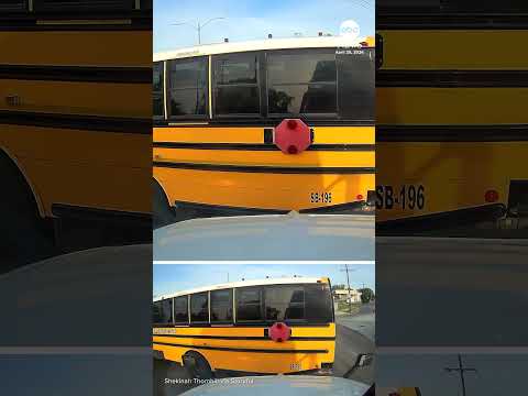 Read more about the article Trucker slams brakes to avoid hitting school bus