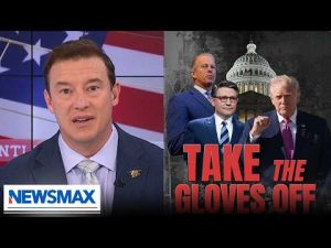 Read more about the article Carl Higbie: ‘We need to fight fire with fire, do the same thing to Dems’