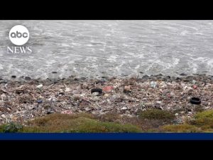 Read more about the article Inside the sewage crisis impacting border communities in San Diego