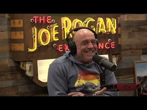 Read more about the article Joe Rogan Experience #2488 – James McCann