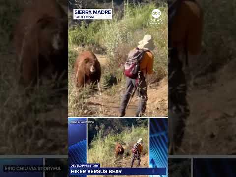 You are currently viewing Hiker has close encounter with bear on California trail