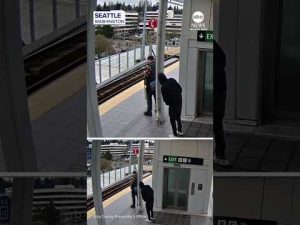 Read more about the article Man accused of attempting to push stranger in front of train