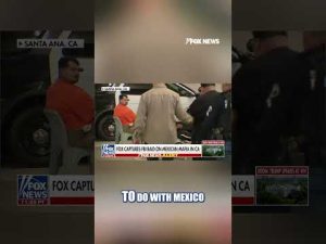 Read more about the article FBI nabs 40+ Mexican Mafia members in California raid #fbi #shorts #mafia #mexico