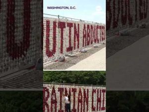 Read more about the article Teddy bears spotlight plight of Ukraine’s kids