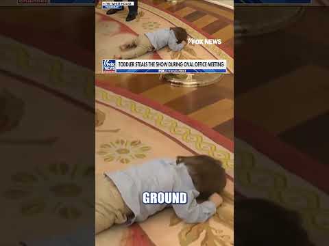 You are currently viewing Toddler steals show during Trump Oval Office event #shorts