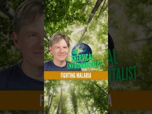 Read more about the article Fighting Malaria