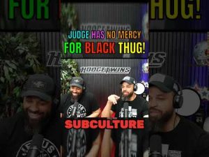 Read more about the article Based Judge Has NO Mercy For Ghetto Thug!