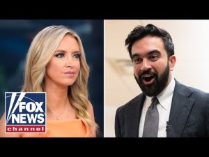 Read more about the article McEnany: America is going to WAKE UP to this