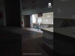 Read more about the article Crocodile caught on camera climbing into hotel kitchen in Zimbabwe